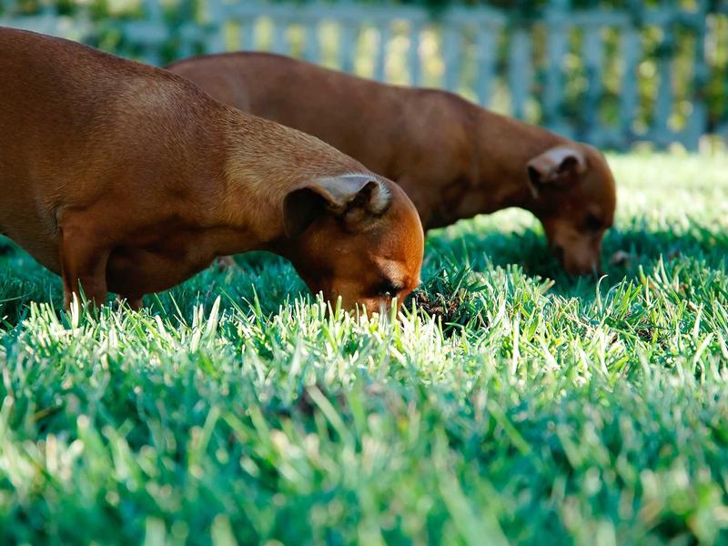 sudoku technique mastery screenshot 1