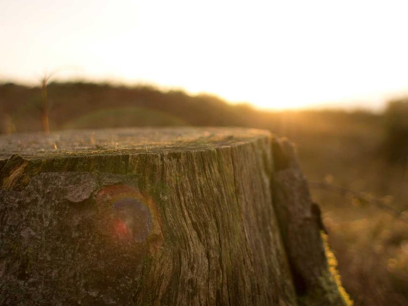 sudoku technique mastery screenshot 4