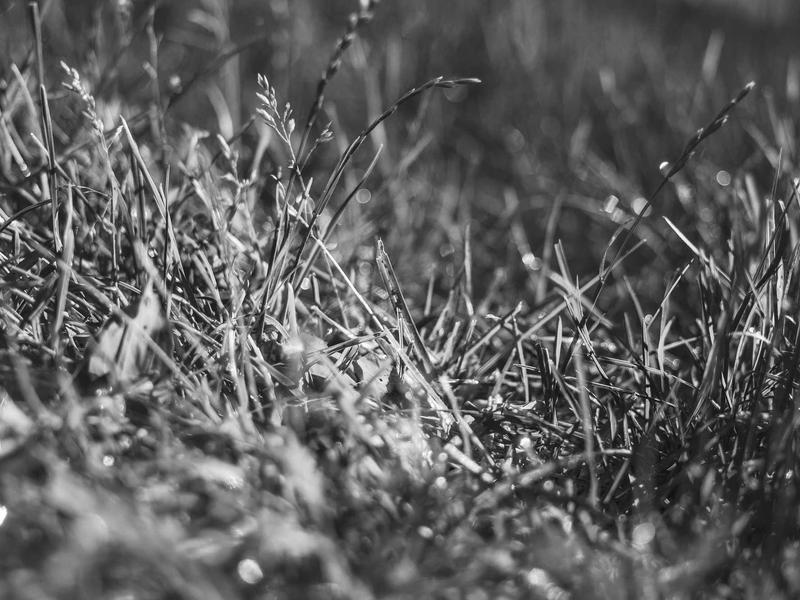 sudoku technique mastery