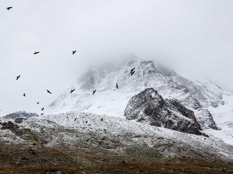 sudoku valid solution screenshot 4